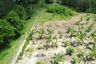 Land for sale in Pa Khlok, Phuket