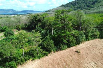 Land for sale in Mai Khao, Phuket
