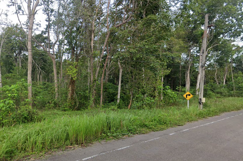 Land for sale in Nong Thale, Krabi