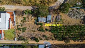 Land for sale in Phaya Yen, Nakhon Ratchasima