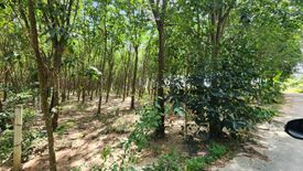 Land for sale in Nong Lalok, Rayong