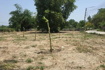 Land for sale in Nong Tamlueng, Chonburi