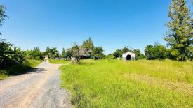 Land for sale in Dan Khun Thot, Nakhon Ratchasima