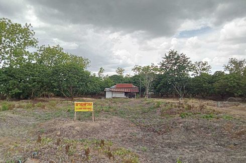 Land for sale in Ban Paen, Lamphun