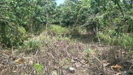 Land for sale in Ban Paen, Lamphun