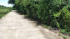 Land for sale in Ban Paen, Lamphun