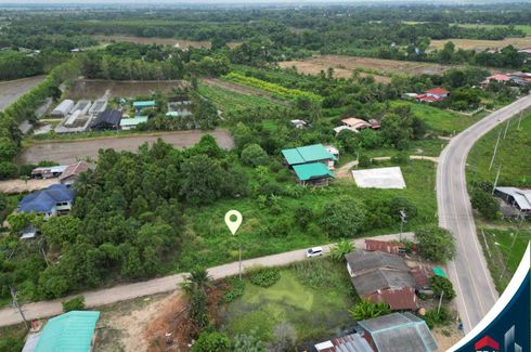 Land for sale in Bang Rakam, Phitsanulok