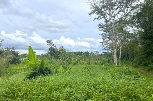 Land for sale in Thung Maphrao, Phang Nga