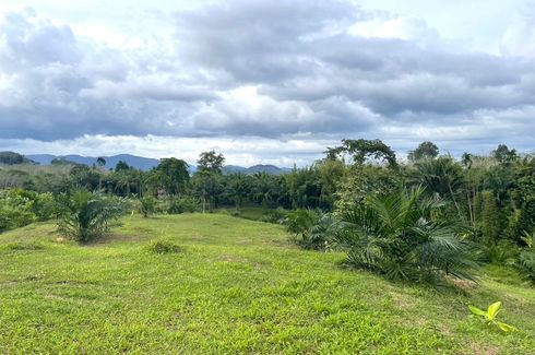 Land for sale in Thung Maphrao, Phang Nga