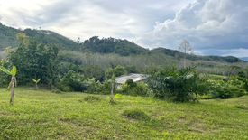 Land for sale in Thung Maphrao, Phang Nga