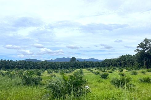 Land for sale in Thung Maphrao, Phang Nga