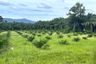 Land for sale in Thung Maphrao, Phang Nga