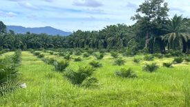 Land for sale in Thung Maphrao, Phang Nga