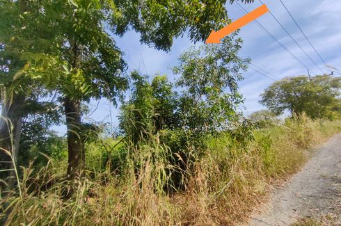 Land for sale in Bueng Kho Hai, Pathum Thani