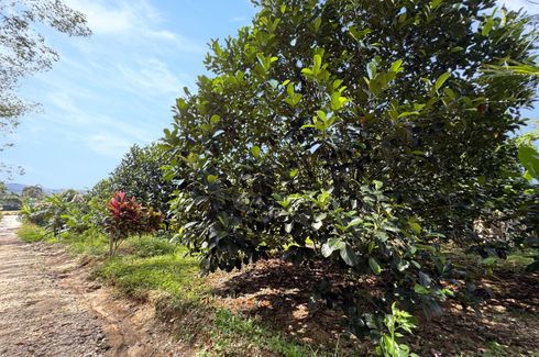 Land for sale in Khuekkhak, Phang Nga