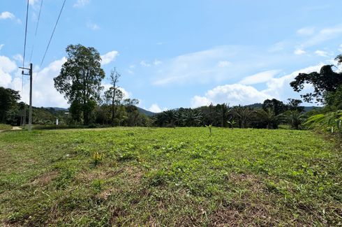 Land for sale in Khuekkhak, Phang Nga