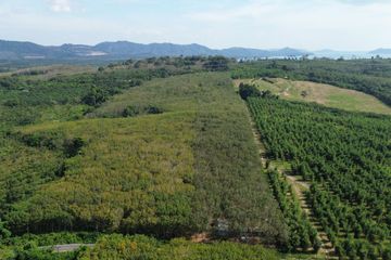 Land for sale in Lo Yung, Phang Nga