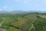 Land for sale in Lo Yung, Phang Nga