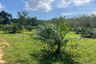 Land for sale in Lo Yung, Phang Nga