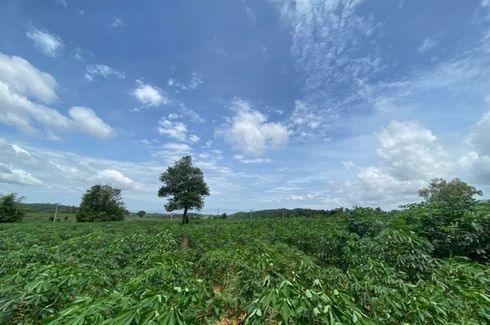 Land for sale in Bo Win, Chonburi