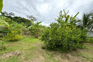 Land for sale in Khok Kloi, Phang Nga