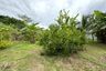 Land for sale in Khok Kloi, Phang Nga