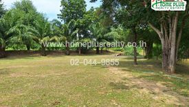 Land for sale in Bueng Nakhon, Prachuap Khiri Khan