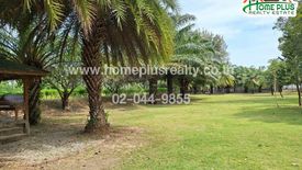 Land for sale in Bueng Nakhon, Prachuap Khiri Khan