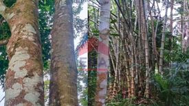 Land for sale in Nong Thale, Krabi