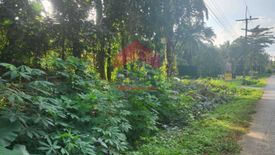Land for sale in Nong Thale, Krabi