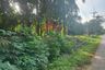 Land for sale in Nong Thale, Krabi