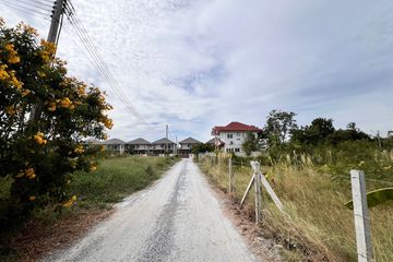 Land for sale in Rua Yai, Suphan Buri
