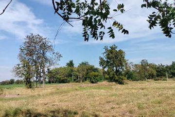 Land for sale in Khlong Ket, Lopburi