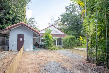 Land for sale in Suthep, Chiang Mai
