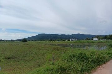 Land for sale in Chaiyanam, Phitsanulok