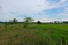 Land for sale in Chaiyanam, Phitsanulok