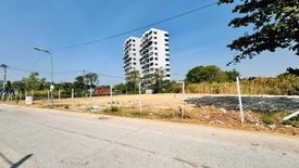 Land for sale in Nong Prue, Chonburi