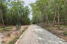 Land for sale in Kachet, Rayong