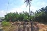 Land for sale in Khlong Chuk Krachoe, Chachoengsao