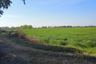 Land for sale in Bang Kha, Chachoengsao