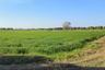 Land for sale in Bang Kha, Chachoengsao