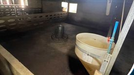 Land for sale in Ban Mai Suk Kasem, Sukhothai