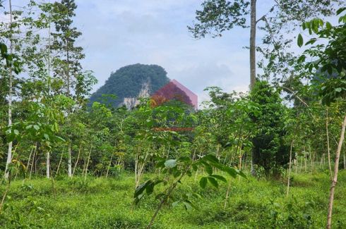 Land for sale in Nong Thale, Krabi