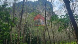 Land for sale in Nong Thale, Krabi