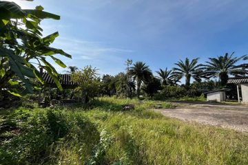 Land for sale in Lam Thap, Krabi