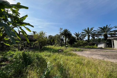 Land for sale in Lam Thap, Krabi