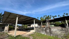Land for sale in Lam Thap, Krabi