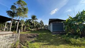 Land for sale in Lam Thap, Krabi