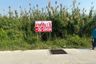 Land for sale in Tha Talat, Nakhon Pathom