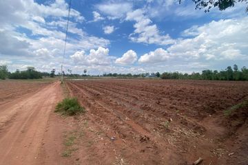 Land for sale in Den Yai, Chainat